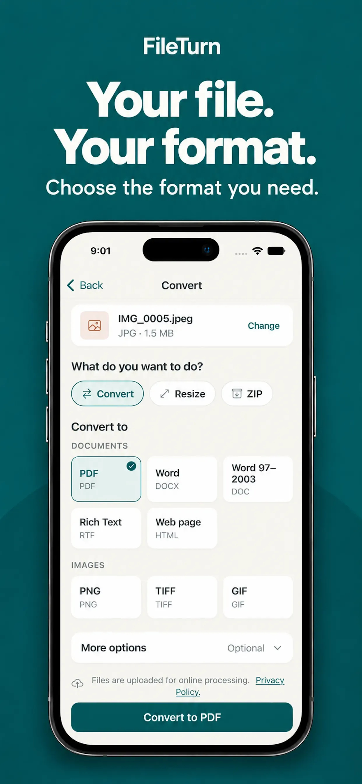 FileTurn file picker showing compatible conversion options