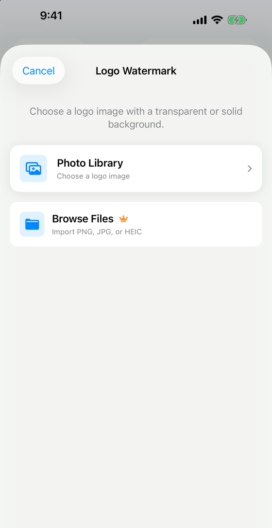 Markora Logo Watermark screen offering Photo Library and Browse Files, with Browse Files marked Pro